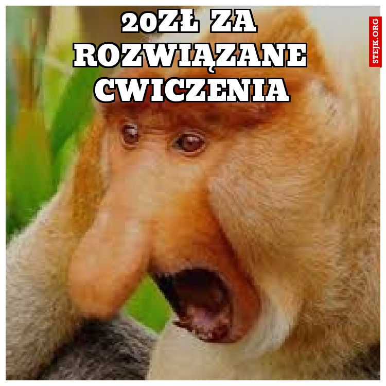 20zł za rozwiązane cwiczenia