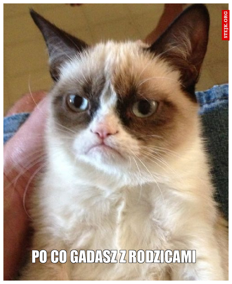 Po co gadasz z rodzicami 