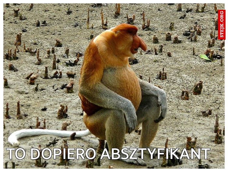 Na krójlika Cię wzioł?