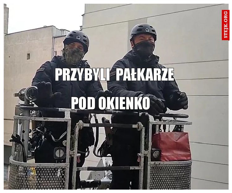 przybyli  pałkarze