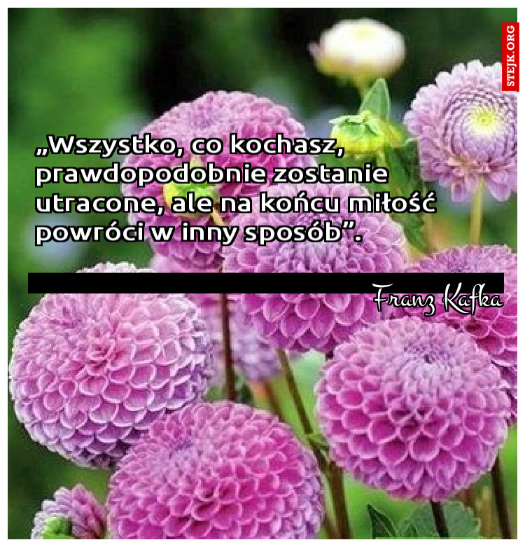 „Wszystko, co kochasz, prawdopodobnie zostanie utracone, ale na końcu miłość powróci w inny sposób”.