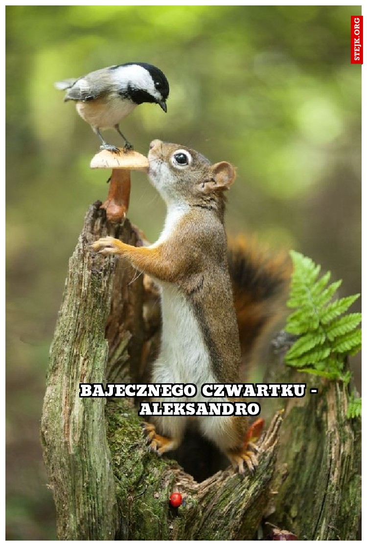 bajecznego czwartku - aleksandro