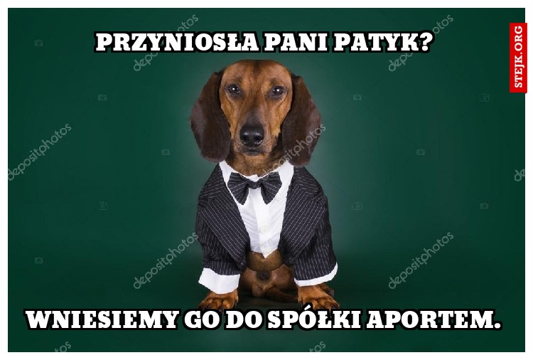 PRZYNIOSŁA PANI PATYK?