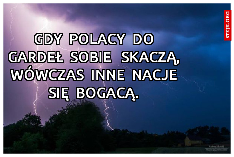 GDY  POLACY  DO  GARDEŁ  SOBIE   SKACZĄ,  WÓWCZAS  INNE  NACJE  SIĘ  BOGACĄ. 