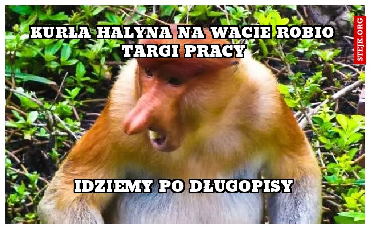 Kurła Halyna na Wacie robio Targi pracy