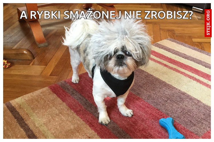 A Rybki smażonej nie zrobisz?