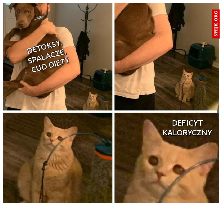         Detoksy,              spalacze,         cud diety