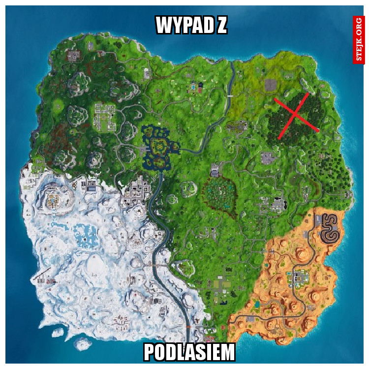 WYPAD Z 