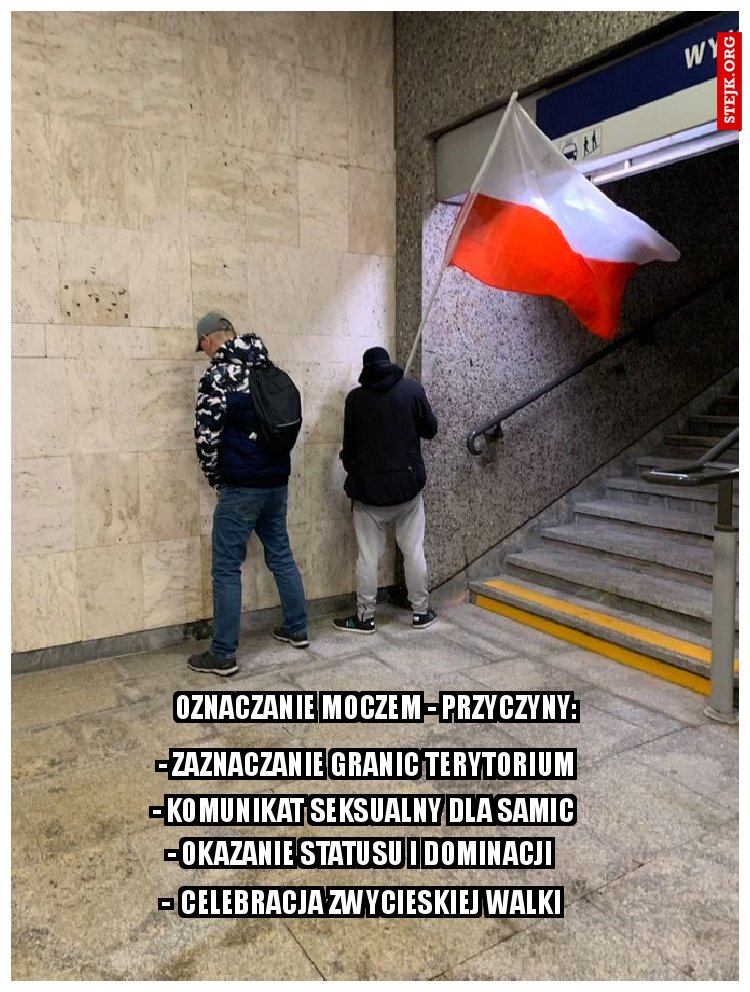 Oznaczanie moczem - przyczyny: