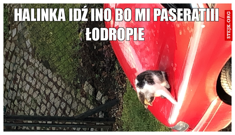 Halinka idź ino bo mi paseratiii łodropie 