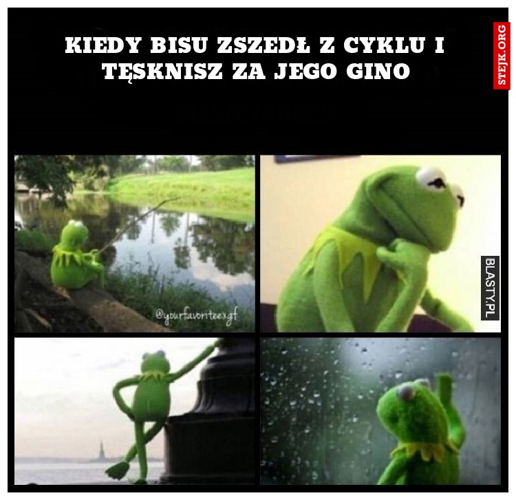 Kiedy bisu zszedł z cyklu i tęsknisz za jego gino
