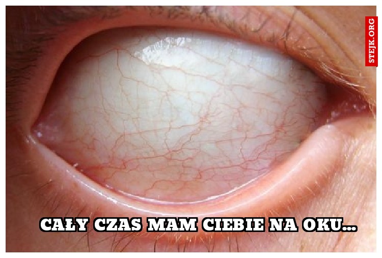 cały czas mam ciebie na oku...