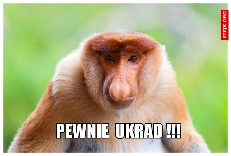 pewnie  ukrad !!!
