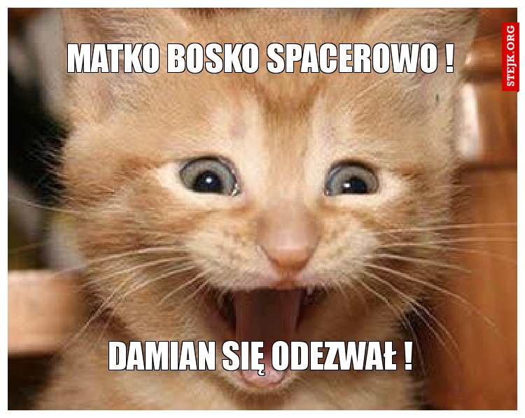 Matko bosko spacerowo !