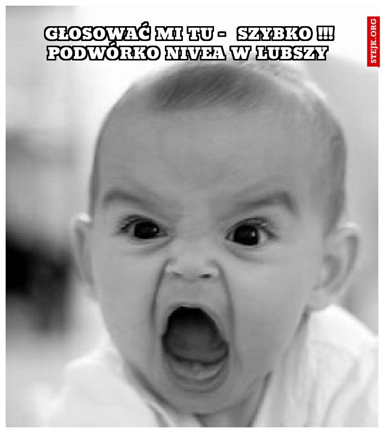 Głosować mi tu -  szybko !!! podwórko nivea w lubszy 