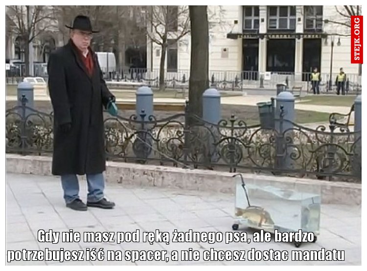 Gdy nie masz pod ręką żadnego psa, ale bardzo potrzebujesz iść na spacer, a nie chcesz dostac mandatu
