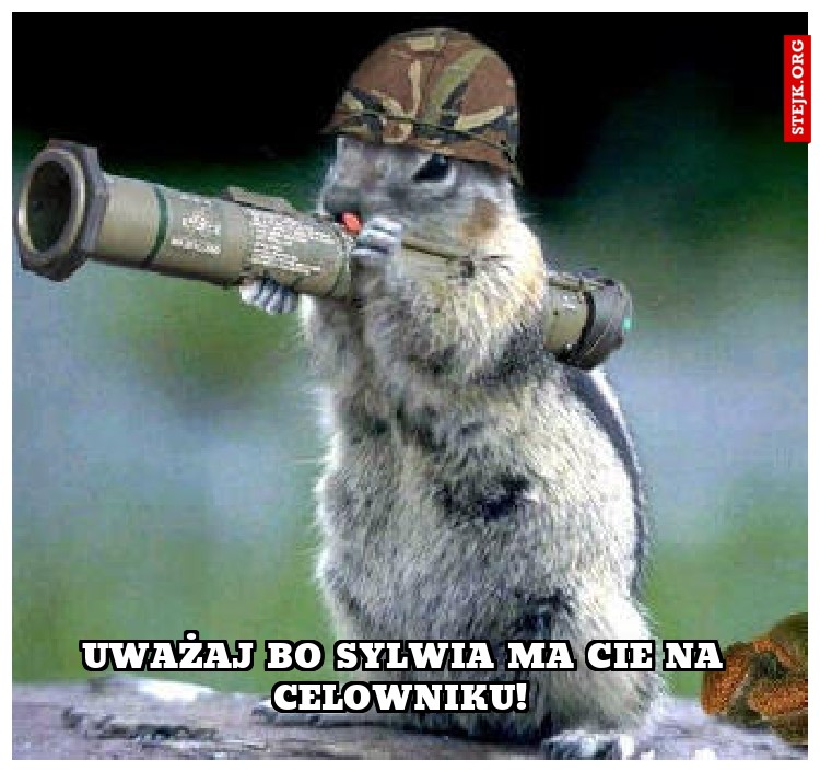 Uważaj bo Sylwia ma cie na celowniku! 