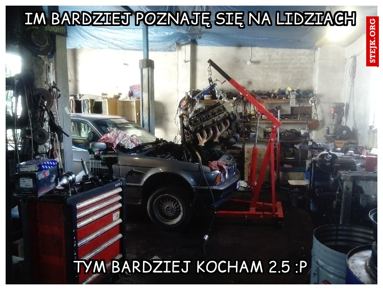 im bardziej poznaję się na lidziach