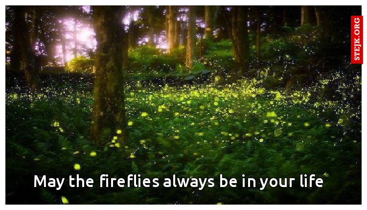 May the fireflies always be in your life