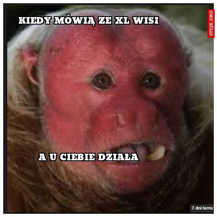 Kiedy mówią ze xl wisi