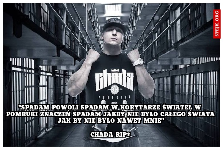 ''Spadam Powoli spadam W korytarze świateł W pomruki znaczeń Spadam Jakby nie było Całego świata Jak by nie było nawet mnie''