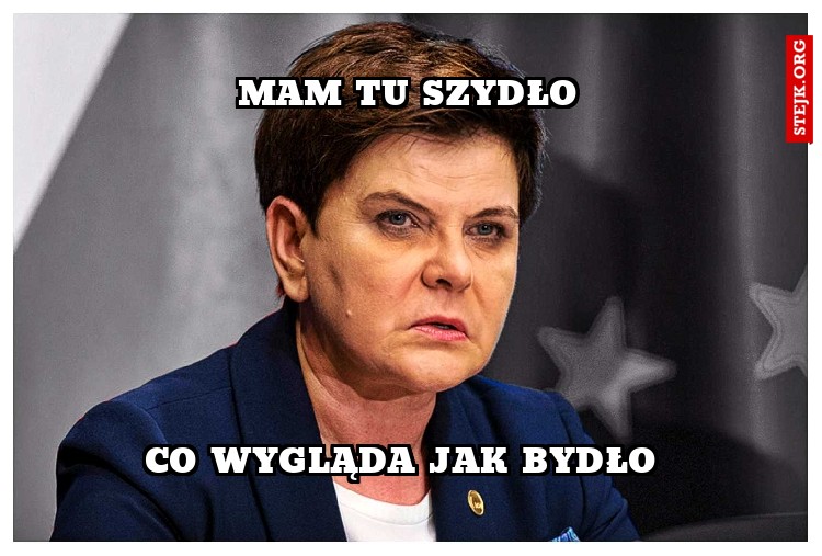 Mam tu szydło