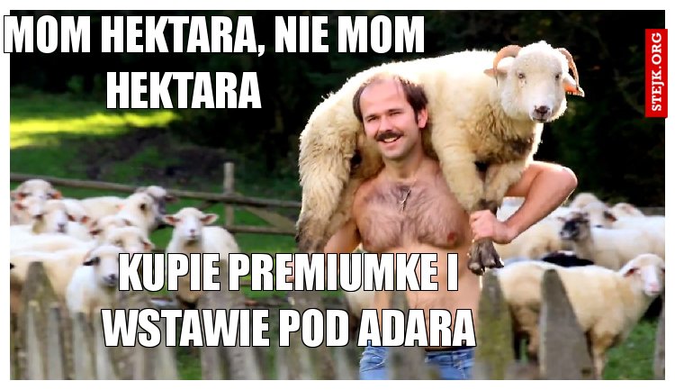 NIE MOM HEKTARA, NIE MOM HEKTARA