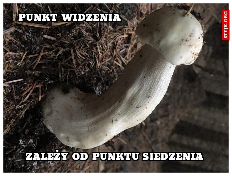 punkt widzenia