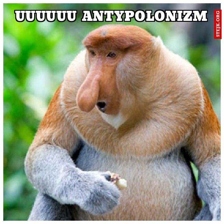 uuuuuu antypolonizm