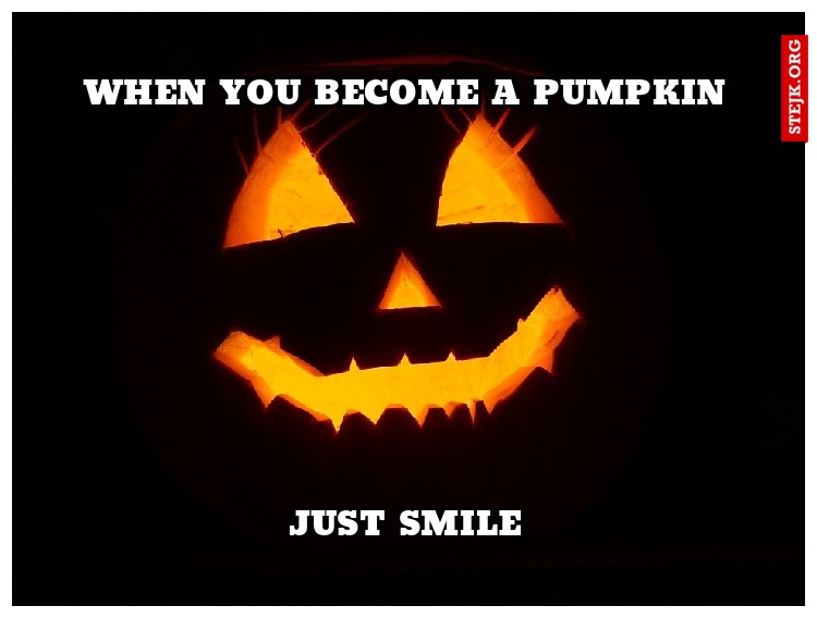 when you become a pumpkin