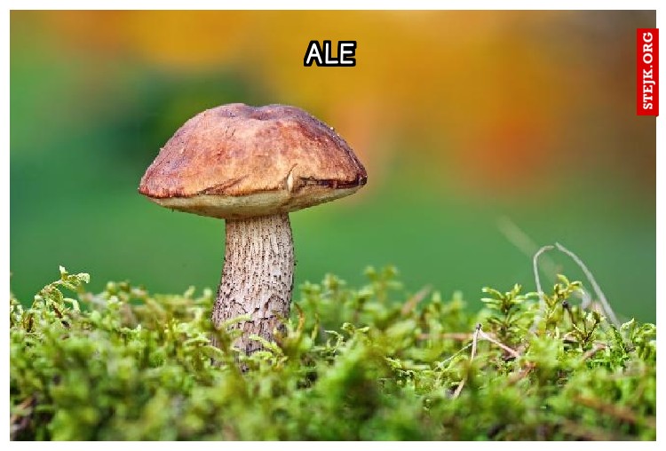Ale