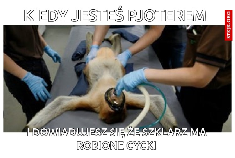 kiedy jesteś pjoterem 