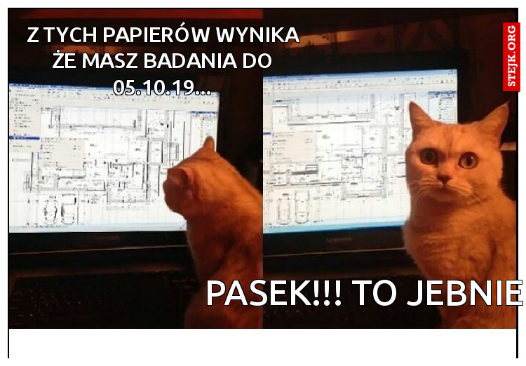 Z tych papierów wynika że masz badania do 05.10.19...