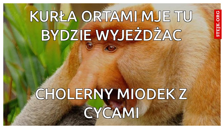 Kurła ortami mje tu bydzie wyjeżdżac