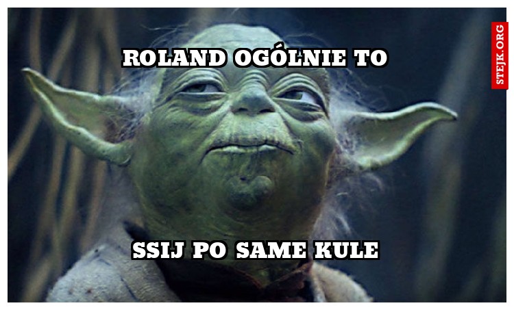 ROLAND OGÓLNIE TO