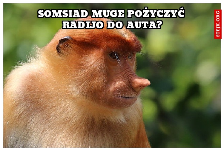 Somsiad muge pożyczyć radijo do auta?