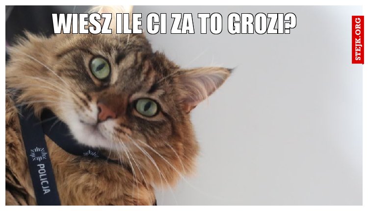 wiesz ile ci za to grozi?
