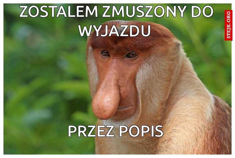 Zostalem zmuszony do wyjazdu 