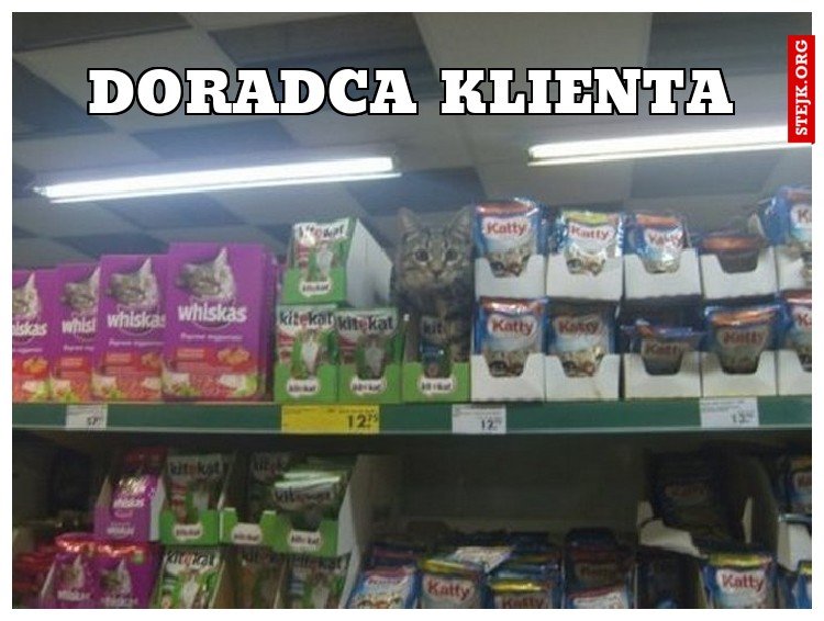 Doradca klienta