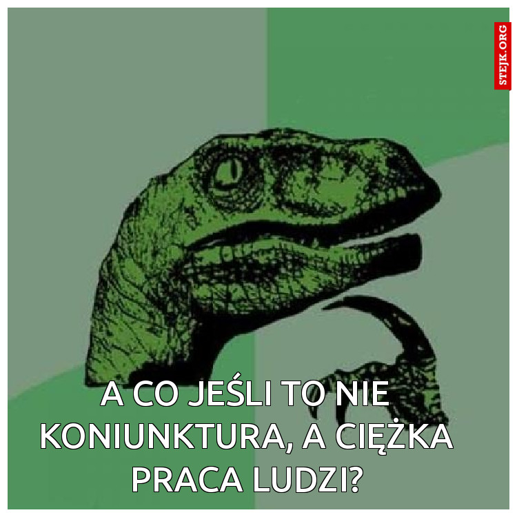 A co jeśli to nie koniunktura, a ciężka praca ludzi?