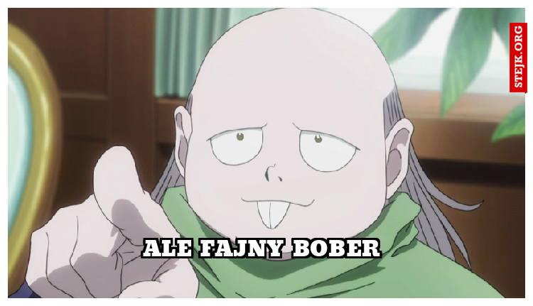 ALE FAJNY BOBER