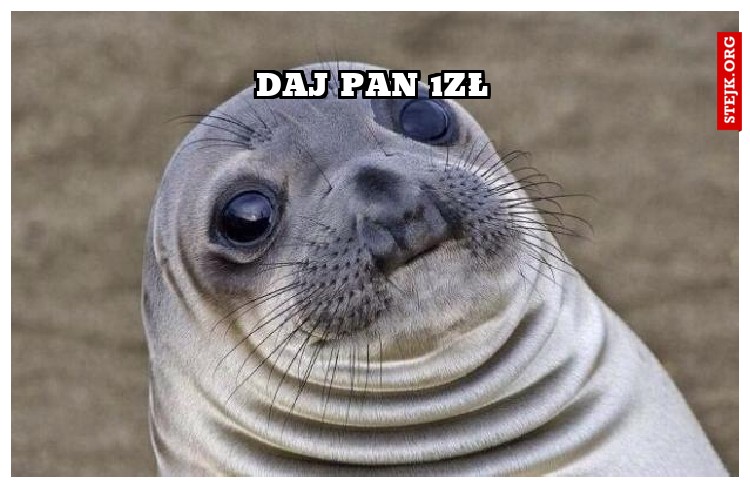 daj pan 1zł