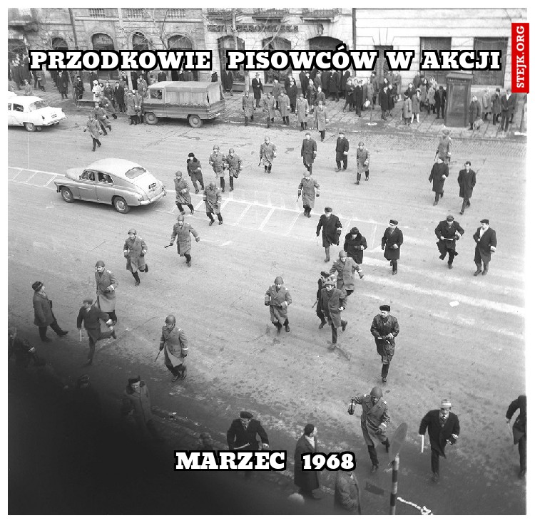 przodkowie  pisowców w akcji