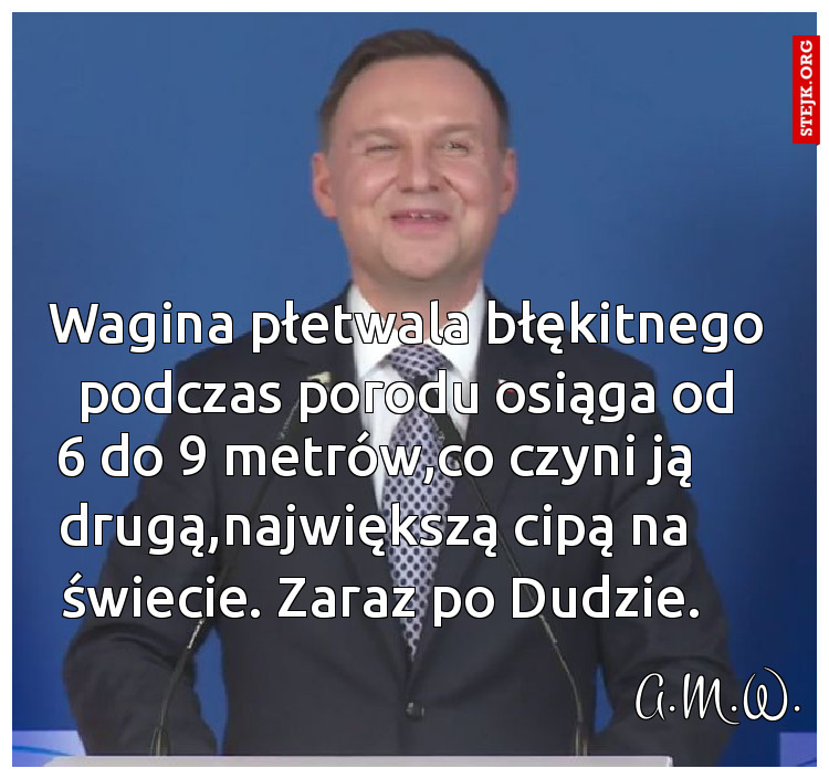 Wagina płetwala błękitnego podczas porodu osiąga od