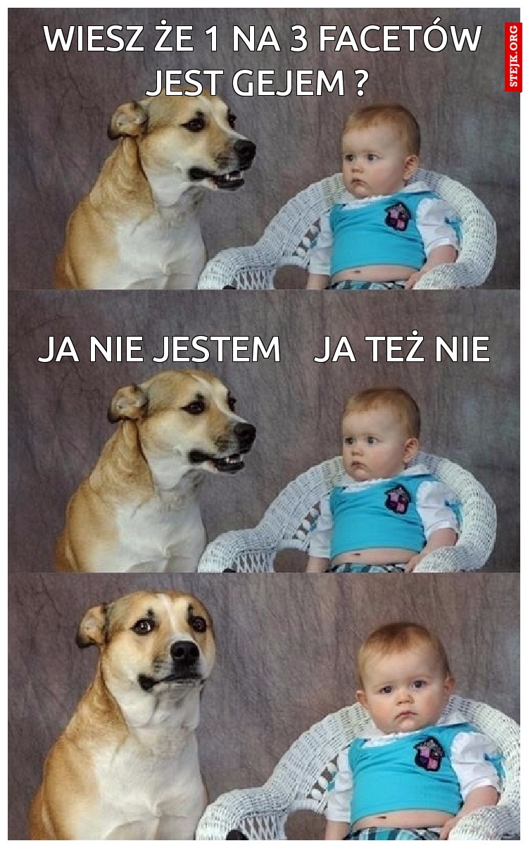 Wiesz że 1 na 3 facetów jest gejem ? 