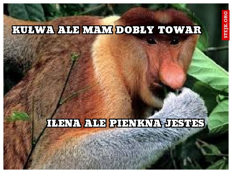 KUŁWA ALE MAM DOBRY TOWAR 