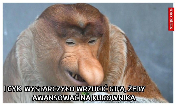 Wystarczyło wrzucić gifa, żeby awansować na kurownika 