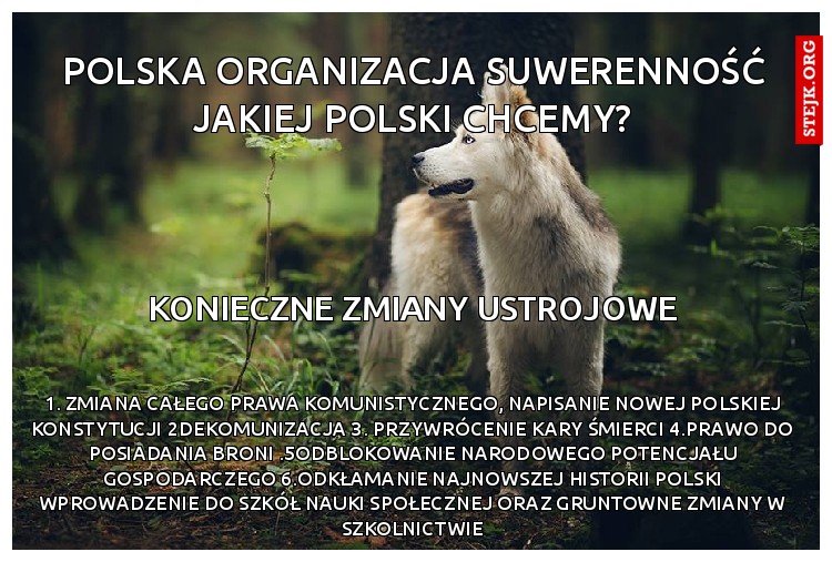 polska organizacja suwerenność jakiej polski chcemy?