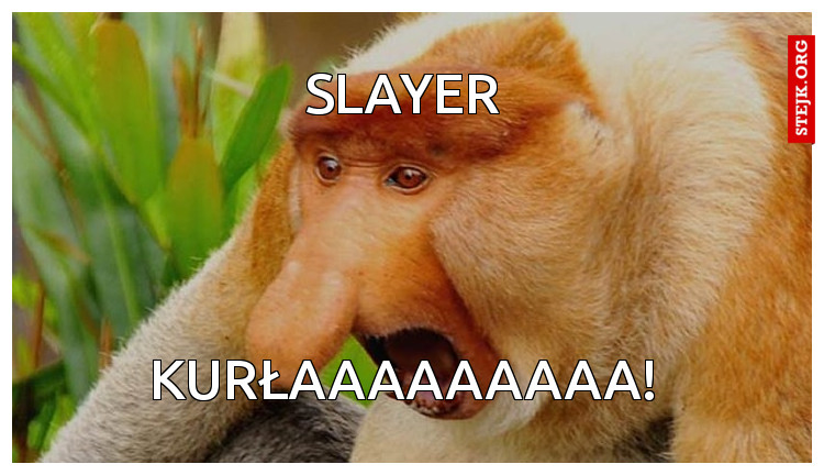 SLAYER 