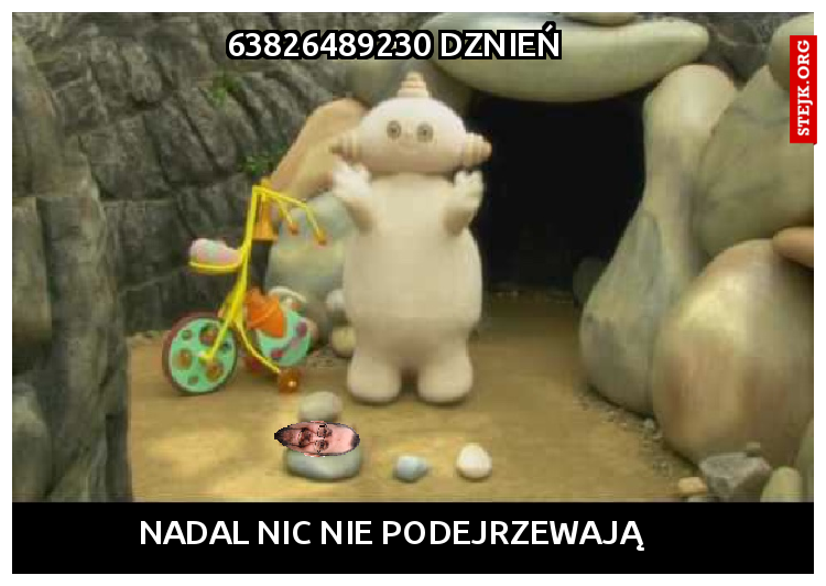 63826489230 DZNIEŃ